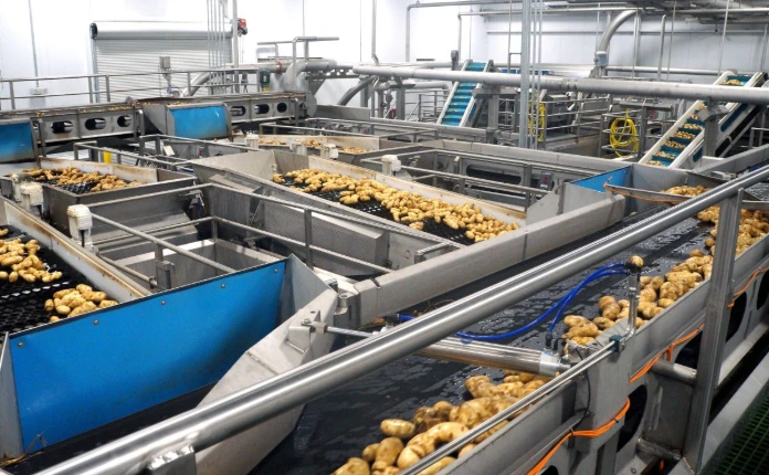 Potato processing 