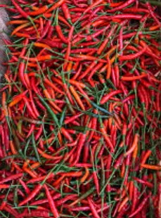 [HXA-BEC1] African Bird’s Eye chili